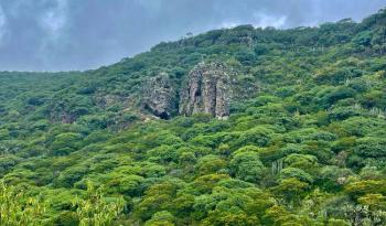 Busca Sedesu incorporar 2 mil hect&aacute;reas de &Aacute;rea Natural Protegida en Cadereyta