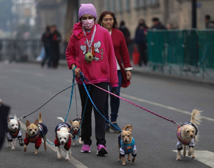 Persisten bajas temperaturas en la capital este 1 de febrero