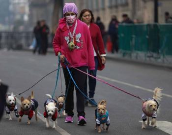 Persisten bajas temperaturas en la capital este 1 de febrero
