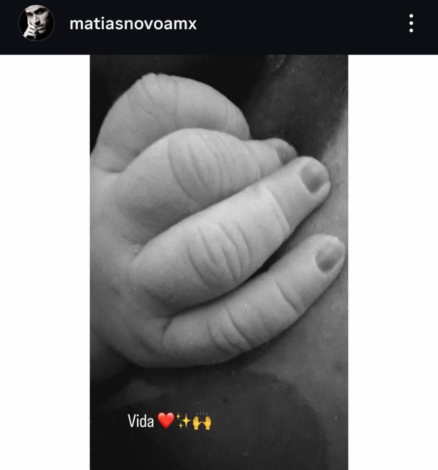 Michelle Renaud y Mat&iacute;as Novoa dan la bienvenida a su segundo hijo