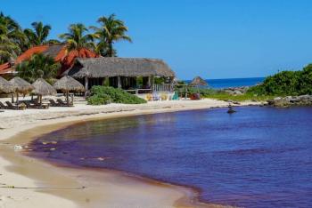 Llegada temprana de sargazo provoca severas p&eacute;rdidas a pescadores de langosta en Quintana Roo