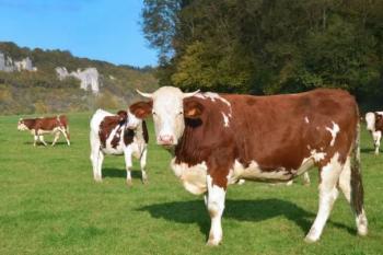 Pa&iacute;ses sin arancel superan a M&eacute;xico y Canad&aacute; en env&iacute;os de carne a Estados Unidos