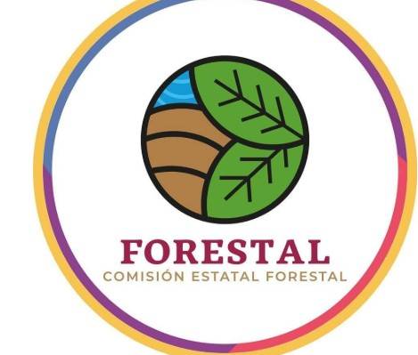 Coesfo reporta incendio controlado en El Infiernillo y tres activos en Istmo, Costa y Valles Centrales de Oaxaca