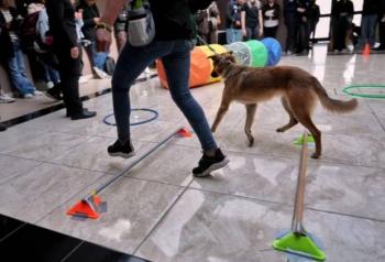 Concluye taller de entrenamiento canino del DIF Quer&eacute;taro