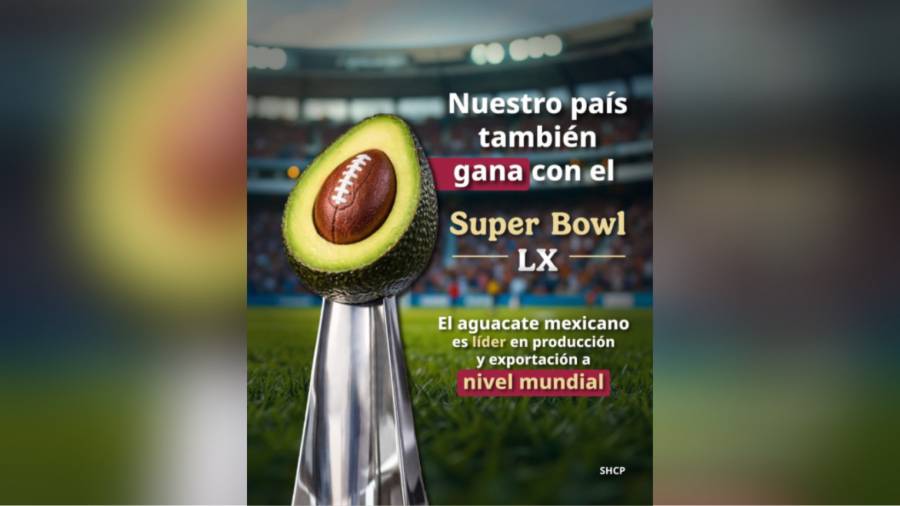 M&eacute;xico tambi&eacute;n gana en el Super Bowl LX con el aguacate; envi&oacute; 100 tn para guacamole: SHCP