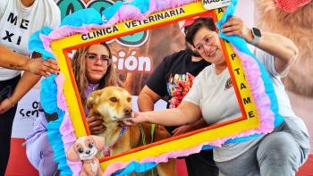 Feria “Amidogs” logra la adopci&oacute;n de 35 perros rescatados en Gustavo A. Madero