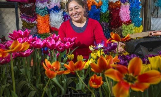 Agricultura reporta producci&oacute;n suficiente de rosas, gladiolas y gerberas para el 14 de febrero