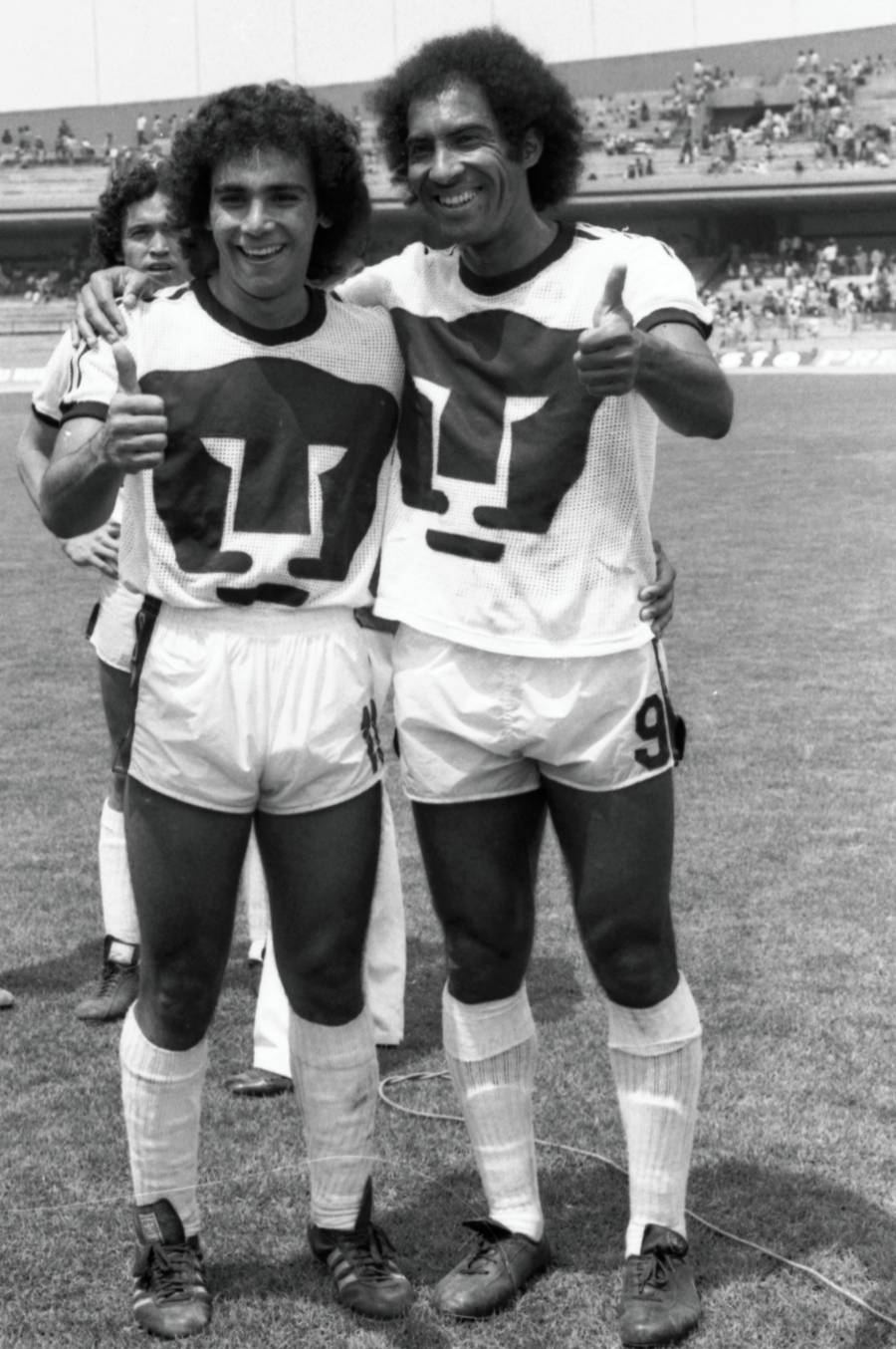 Los Pumas llevarán su historia al cine y la televisión