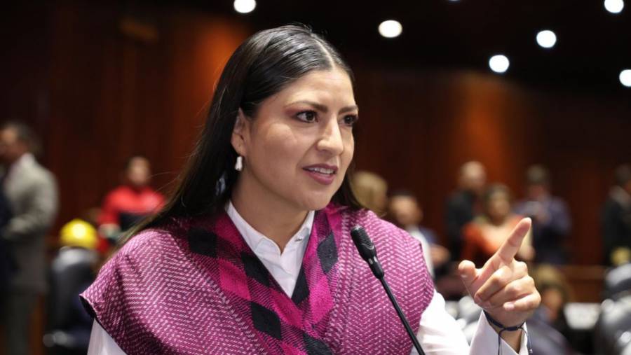 Diputada morenista pide a Profeco frenar aumentos injustificados rumbo al Mundial 2026 .