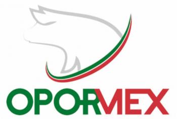 OPORMEX presenta nuevo podcast de an&aacute;lisis estrat&eacute;gico para la porcicultura