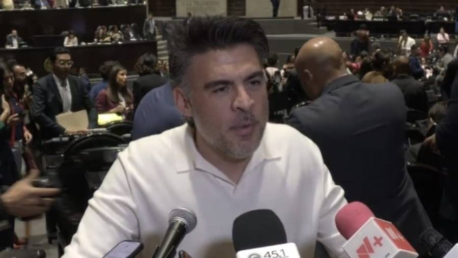 Libro de Scherer no fue venganza ni traici&oacute;n, dice su hijo