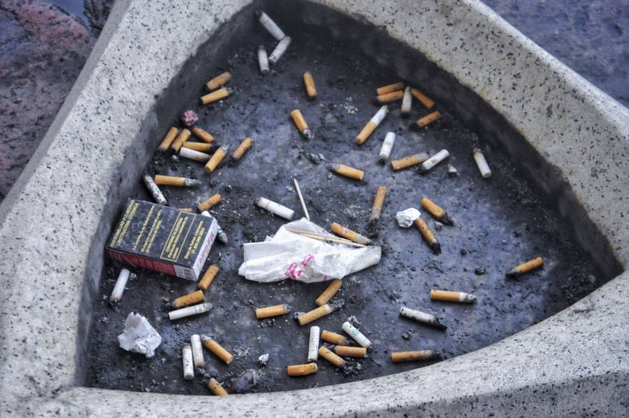 Tamaulipas impulsa sanciones por tirar colillas de cigarro