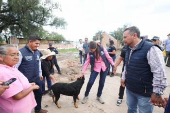 Guanajuato reconoce protecci&oacute;n animal en su Constituci&oacute;n