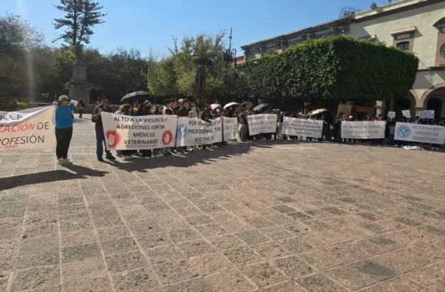 Siete de cada 10 veterinarios reportan agresiones en 2025