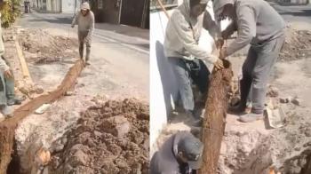 Sapase retira ra&iacute;ces gigantes que bloqueaban suministro de agua en colonias de Ecatepec