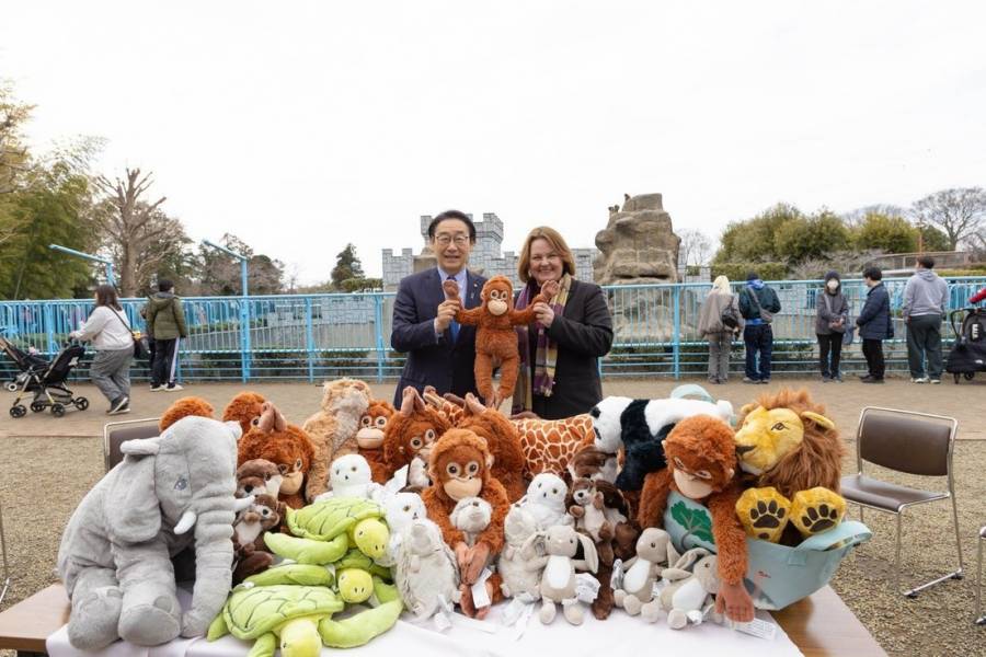 IKEA Japón dona juguetes al zoológico de Ichikawa tras historia viral del macaco Punch