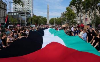 Protesta en Dubl&iacute;n respalda alto el fuego en Gaza