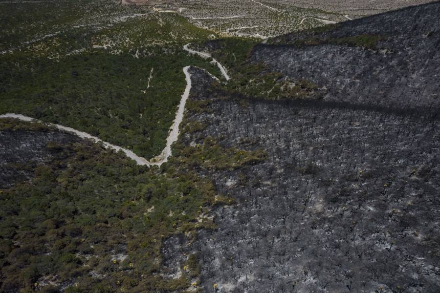 Incendio forestal en Oriental, Puebla, presenta 90% de control y afecta 70 hect&aacute;reas