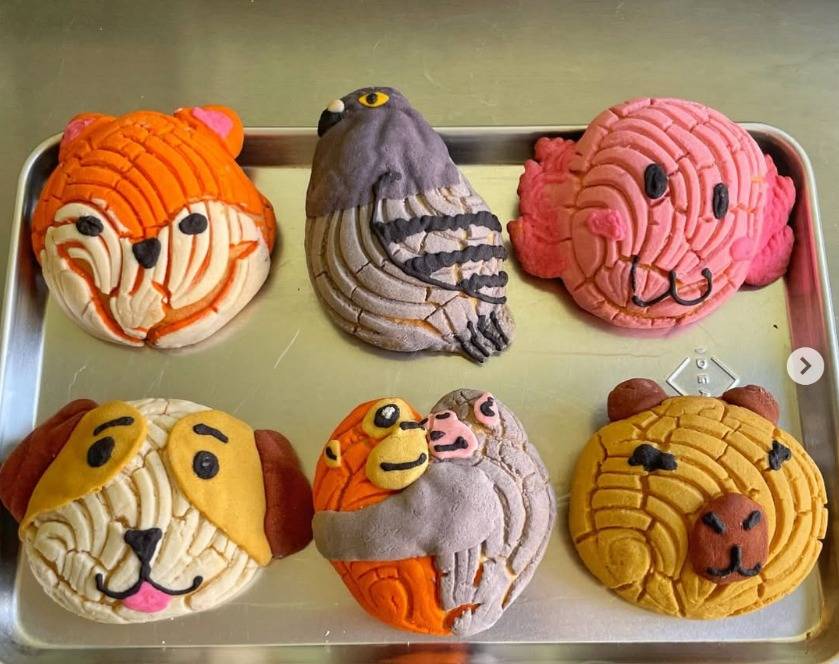 Panadería Bestcake MX lanza la “Conchanguito” inspirada en el changuito viral