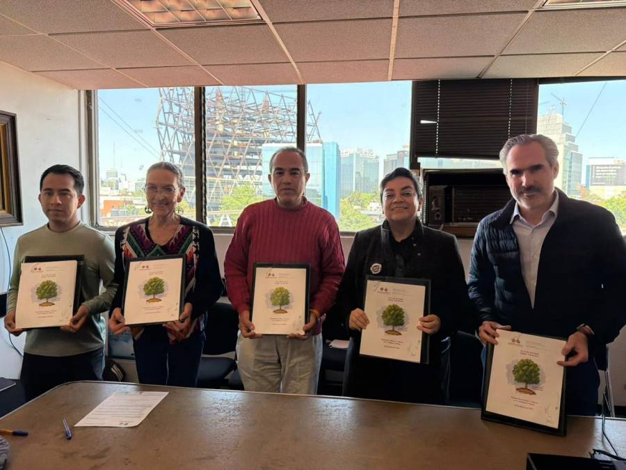 Firman Secretaría de Cultura de la Ciudad de México, Secretaría del Medio Ambiente y vecinos plan de manejo para el árbol “Eugenio”