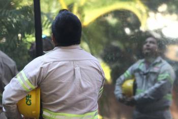 CFE cierra 2025 con utilidades in&eacute;ditas tras revertir p&eacute;rdidas del a&ntilde;o anterior