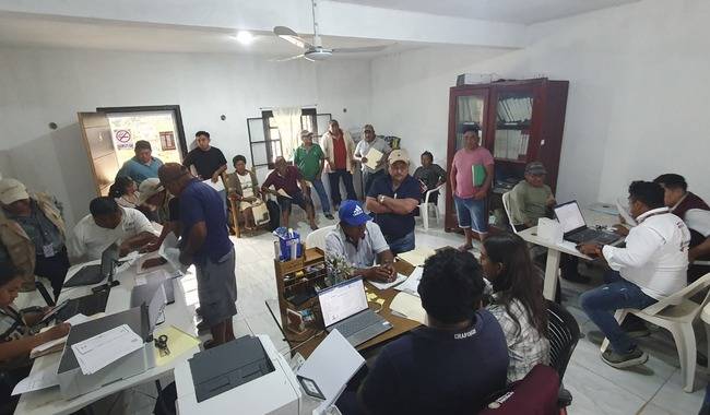 Llama AGRICULTURA a productoras y productores a recibir el incentivo al maíz blanco en seis estados