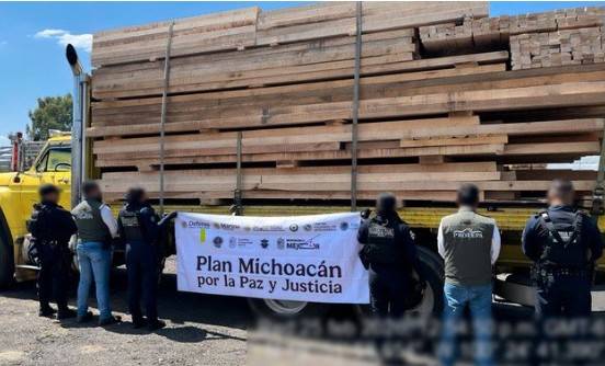 Operativo sorpresa contra tala ilegal en Michoac&aacute;n asegura 539 m³ de madera y detiene a 14 personas