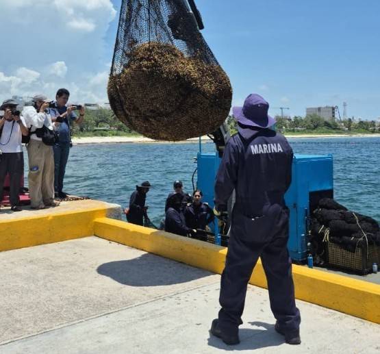 Gobierno de Quintana Roo intensifica acciones para contener el sargazo en los litorales
