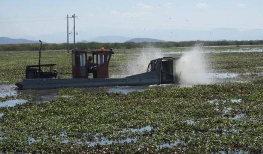 Inicia Compesca recuperaci&oacute;n de 60 hect&aacute;reas del Lago de Cuitzeo para beneficio de 1,200 pescadores