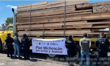 Operativo sorpresa contra tala ilegal en Michoac&aacute;n asegura 539 m³ de madera y detiene a 14 personas