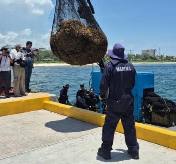 Gobierno de Quintana Roo intensifica acciones para contener el sargazo en los litorales