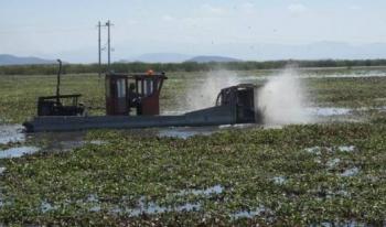 Inicia Compesca recuperaci&oacute;n de 60 hect&aacute;reas del Lago de Cuitzeo para beneficio de 1,200 pescadores