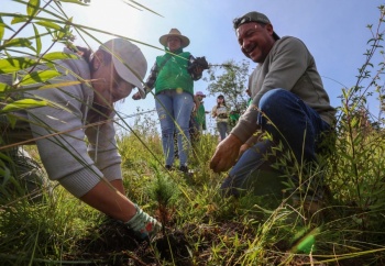 Reforestaci&oacute;n urbana en Puebla: 10 mil &aacute;rboles para mitigar impacto ambiental