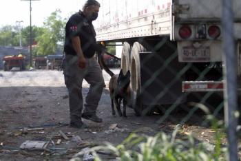 Operativos Semanales Contra Narcomenudeo en Nuevo Le&oacute;n Intensifican Acciones de Seguridad