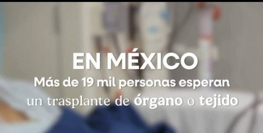 Gobierno Federal alista campa&ntilde;a nacional para promover la donaci&oacute;n de &oacute;rganos
