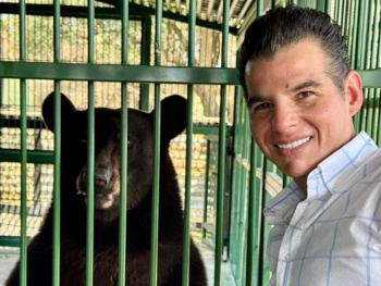 Oso negro ‘Tadeo’ muestra recuperaci&oacute;n favorable tras ocho meses de rescate en Nuevo Le&oacute;n