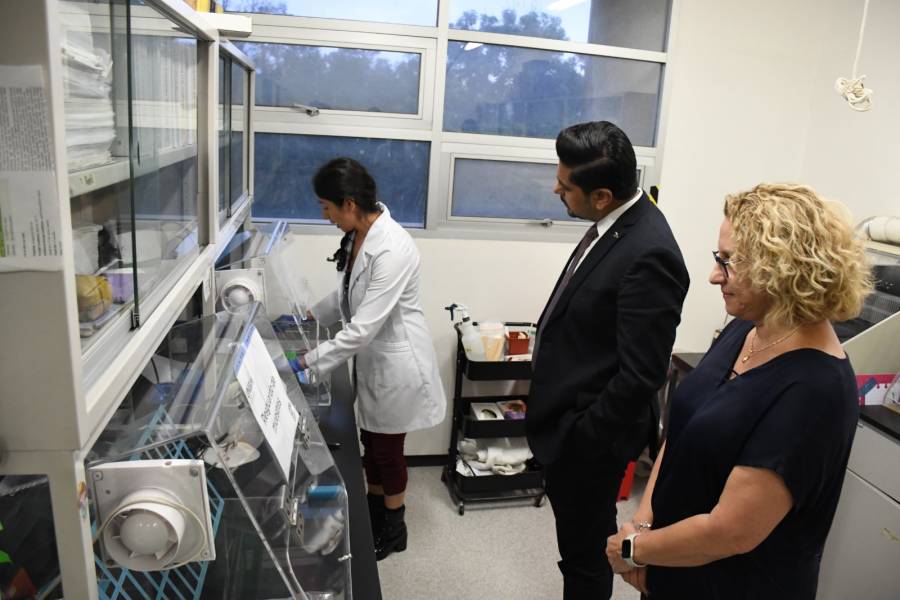 Nezahualc&oacute;yotl aplicar&aacute; gratuitamente novedosa prueba PCR de la UNAM para detectar VPH