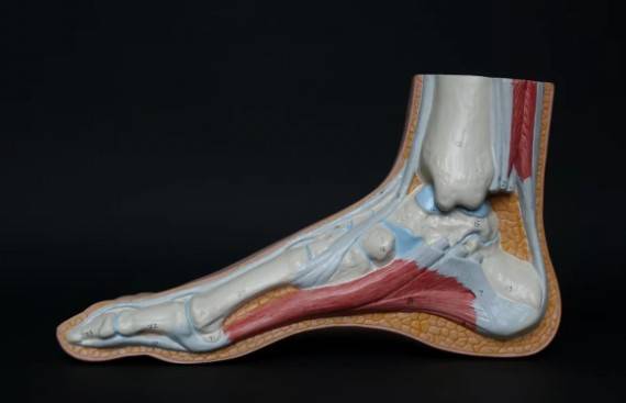 Detectan fracturas por estr&eacute;s por dolor persistente en pie, tibia e ingle