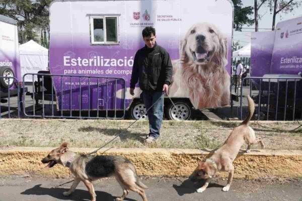 Clara Brugada anuncia plan integral de bienestar animal en CDMX con clínicas veterinarias y albergues