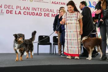 Gobierno capitalino presenta plan integral para posicionar a la Ciudad de M&eacute;xico como referente en bienestar animal