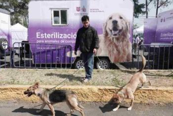 Clara Brugada anuncia plan integral de bienestar animal en CDMX con cl&iacute;nicas veterinarias y albergues