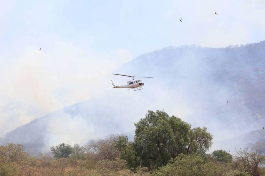 Gobierno de Oaxaca brinda acompañamiento a sector turístico tras incendio en Zicatela