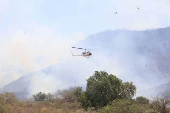 Gobierno de Oaxaca brinda acompa&ntilde;amiento a sector tur&iacute;stico tras incendio en Zicatela