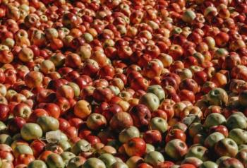 Estiman p&eacute;rdida global de 13,3% de alimentos antes de llegar al comercio minorista