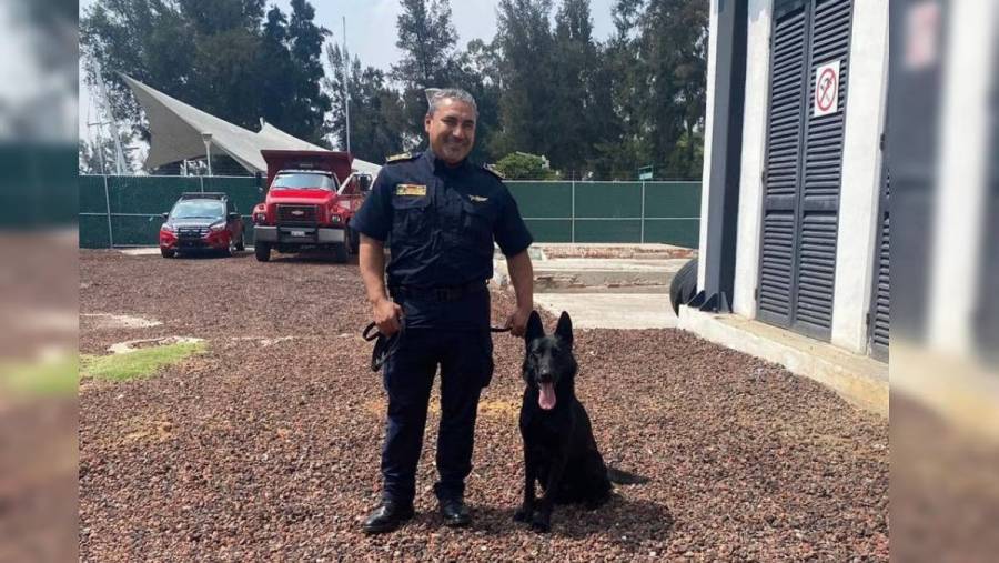 Togo, el perro rescatista de Bomberos CDMX que particip&oacute; en labores tras derrumbe en San Antonio Abad