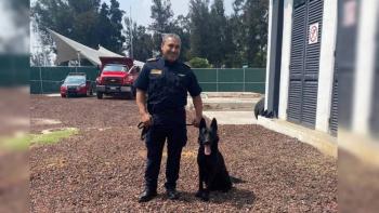Togo, el perro rescatista de Bomberos CDMX que particip&oacute; en labores tras derrumbe en San Antonio Abad