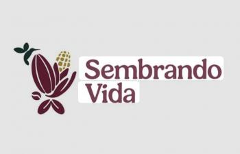 Presidenta critica econom&iacute;a de guerra y propone destinar recursos militares a programas sociales como Sembrando Vida