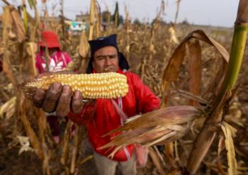 Propuesta presidencial busca mejorar condiciones laborales en el campo
