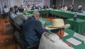 Acuerdan comercializadores con productoras y productores de ma&iacute;z compra inicial de 1.1 millones de toneladas en Sinaloa