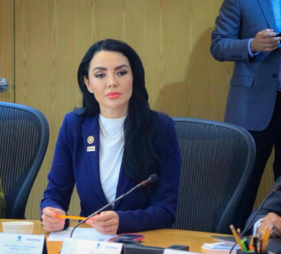 Morena en San Lázaro apoya propuesta presidencial para unificar investigación del feminicidio en todo el país